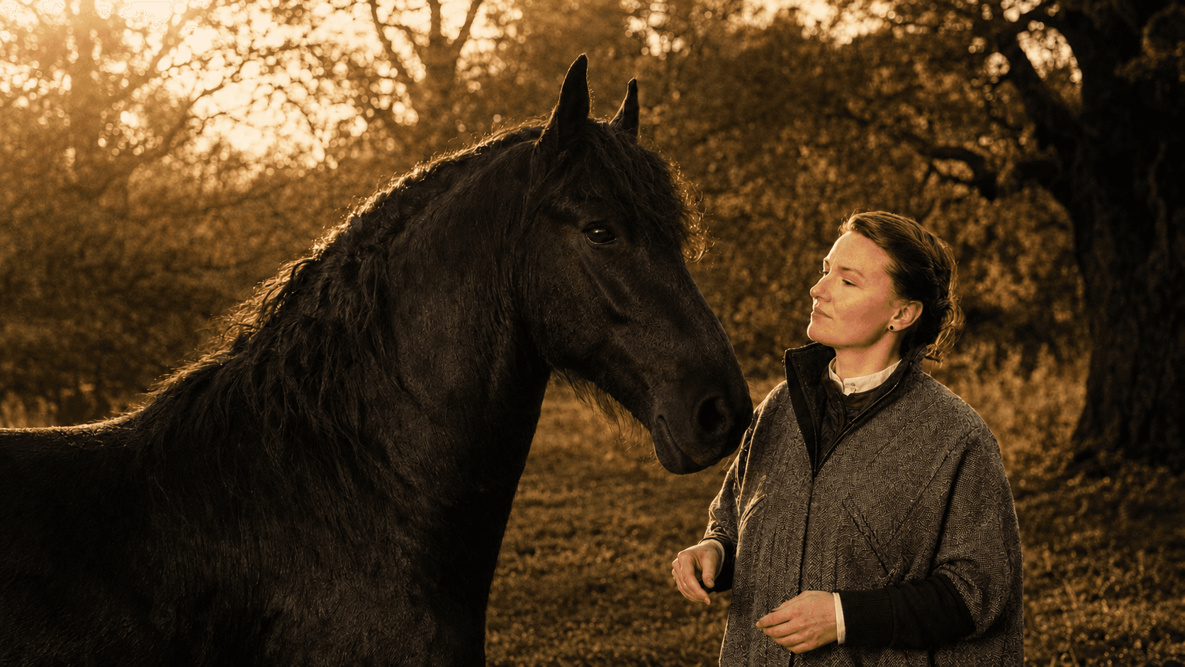 A black Friesian stallion and a woman stand facing each other in warm evening light