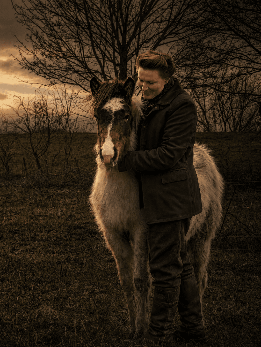Quiet moment between a horse and a human
